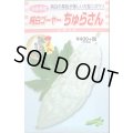 送料無料　[ゴーヤ]　純白ゴーヤー　ちゅらさん　7粒　松永種苗(株)