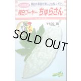 送料無料　[ゴーヤ]　純白ゴーヤー　ちゅらさん　7粒　松永種苗(株)