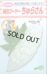 送料無料　[ゴーヤ]　純白ゴーヤー　ちゅらさん　7粒　松永種苗(株)