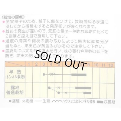 画像2: 送料無料　[ゴーヤ]　純白ゴーヤー　ちゅらさん　100粒　松永種苗(株)