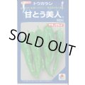 送料無料　[とうがらし]　甘とう美人　500粒　タキイ種苗(株)