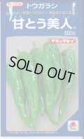 送料無料　[とうがらし]　甘とう美人　500粒　タキイ種苗(株)