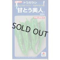 送料無料　[とうがらし]　甘とう美人　500粒　タキイ種苗(株)