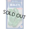 送料無料　[ピーマン]　京みどり　1000粒　タキイ種苗(株)