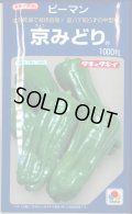 送料無料　[ピーマン]　京みどり　1000粒　タキイ種苗(株)