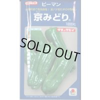 送料無料　[ピーマン]　京みどり　1000粒　タキイ種苗(株)