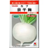 送料無料　[かぶ]　京千舞　2.2ml　タキイ種苗(株)　RF