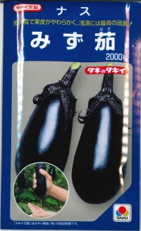 [なす]　送料無料！　みず茄　　2000粒　　タキイ種苗（株）