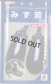 送料無料　[なす]　みず茄子　2000粒　タキイ種苗(株)