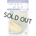 送料無料　[メロン]　パンナ　8粒　タキイ種苗　DF