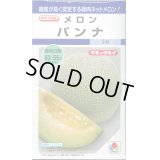 送料無料　[メロン]　パンナ　8粒　タキイ種苗　DF