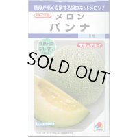 送料無料　[メロン]　パンナ　8粒　タキイ種苗　DF