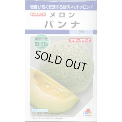 画像1: 送料無料　[メロン]　パンナ　8粒　タキイ種苗　DF