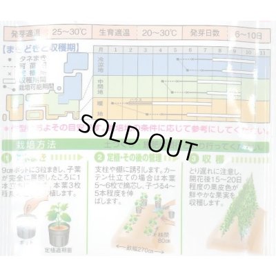 画像3: 送料無料　[ゴーヤ]　太れいし　12ml　タキイ種苗(株)　GF