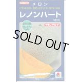 送料無料　[メロン]　レノンハート　100粒　タキイ種苗