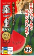 送料無料　[スイカ]　大玉スイカ　羅皇(らおう)　7粒　ナント種苗(株)