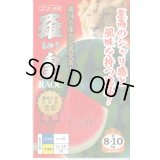 送料無料　[スイカ]　大玉スイカ　羅皇(らおう)　7粒　ナント種苗(株)