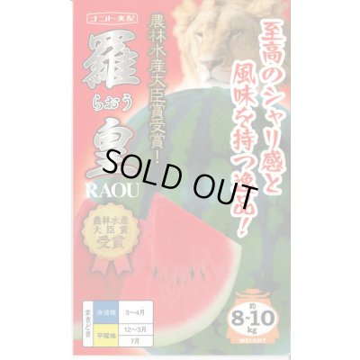 画像1: 送料無料　[スイカ]　大玉スイカ　羅皇(らおう)　7粒　ナント種苗(株)