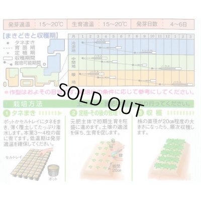 画像3: サラダナ 岡山サラダ菜 1.4ml タキイ種苗(株) GF