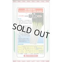 送料無料　[ねぎ]　一翠太　20ml　カネコ種苗（株）