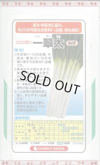 送料無料　[ねぎ]　一翠太　20ml　カネコ種苗（株）