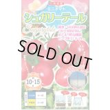 送料無料　[トマト/ミニトマト]　シュガリーテール　500粒　ナント種苗(株)