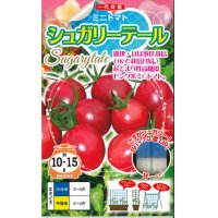 [トマト/ミニトマト]　送料無料！　シュガリーテール　500粒　ナント種苗（株）