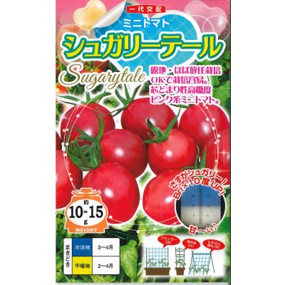 画像1: 送料無料　[トマト/ミニトマト]　シュガリーテール　500粒　ナント種苗(株)