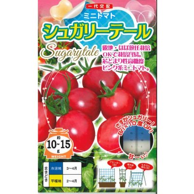 画像1: [トマト/ミニトマト]　送料無料！　シュガリーテール　500粒　ナント種苗（株）