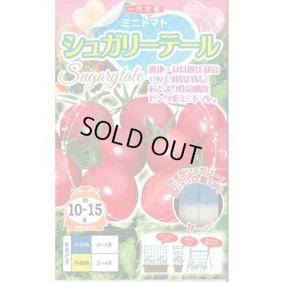 画像1: 送料無料　[トマト/ミニトマト]　シュガリーテール　500粒　ナント種苗(株)