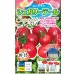 画像1: 送料無料　[トマト/ミニトマト]　シュガリーテール　500粒　ナント種苗(株) (1)