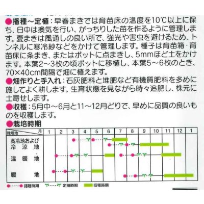 画像2: 送料無料　[ブロッコリー]　緑嶺　20ml　(株)サカタのタネ