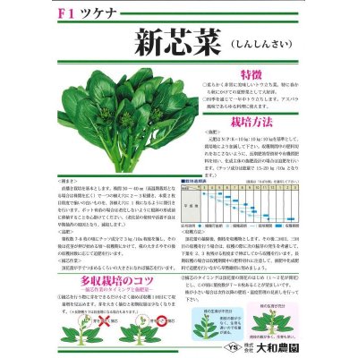 画像3: [葉物]　新芯菜　5ｍｌ（およそ900粒）　（株）大和農園