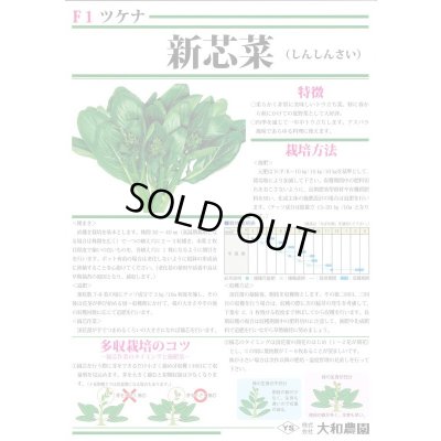画像3: 送料無料　[葉物]　新芯菜　5ml(およそ900粒)　(株)大和農園