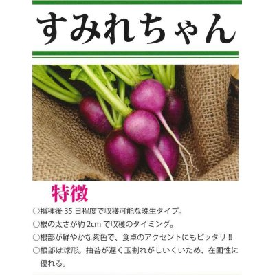 画像3: [大根]　二十日すみれちゃん　20ml　（およそ1,700粒）（およそ1,700粒）