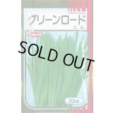 送料無料　[葉物]　ニラ　グリーンロード　20ml　（株）サカタのタネ