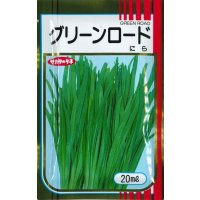 [葉物]　ニラ　グリーンロード　20ｍｌ　サカタのタネ（株）