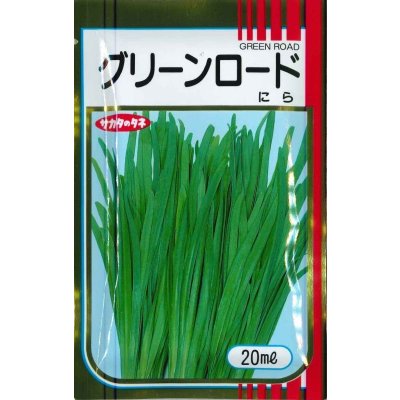 画像1: [葉物]　ニラ　グリーンロード　20ｍｌ　サカタのタネ（株）