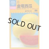 送料無料　[スイカ]　小玉スイカ　金竜西瓜　小袋(10粒)　中原採種場(株)