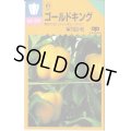送料無料　[ピーマン]　カラーピーマン　ゴールドキング　15粒　中原採種場(株)