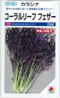 送料無料　[葉物]　からしな　コーラルリーフフェザー　20ml　タキイ種苗