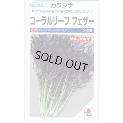 画像1: からしな コーラルリーフフェザー 20ml タキイ種苗