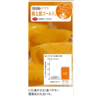 画像5: 送料無料 [トマト/桃太郎系] 桃太郎ゴールド 1000粒 タキイ種苗(株)