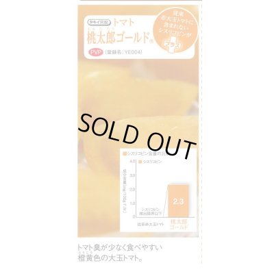 画像5: 送料無料　[トマト/桃太郎系]　桃太郎ゴールド　16粒　タキイ種苗(株)　DF