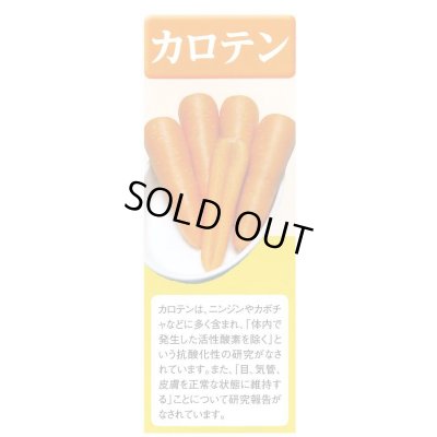 画像6: 送料無料　[人参]　オランジェ　ペレット種子1万粒　タキイ種苗(株)