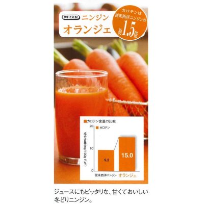画像5: [人参] オランジェ ペレット種子1万粒 タキイ種苗(株)