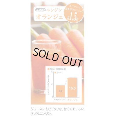 画像5: 送料無料　[人参]　オランジェ　ペレット種子1万粒　タキイ種苗(株)