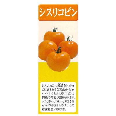 画像6: 送料無料 [白菜] オレンジクイン ペレット種子 100粒 タキイ種苗(株)