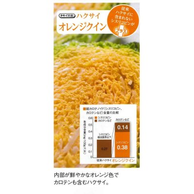 画像5: 送料無料 [白菜] オレンジクイン ペレット種子 100粒 タキイ種苗(株)