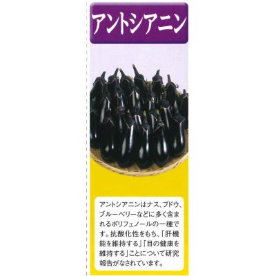 画像4: 送料無料　からしな　コーラルリーフフェザー　20ml　タキイ種苗